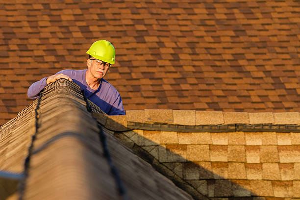 Best Roof Gutter Cleaning  in Woodworth, OH