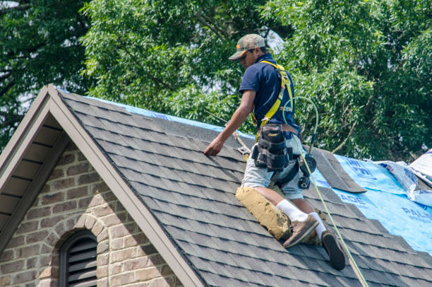 Best New Roof Installation  in Woodworth, OH